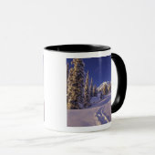 NA, VS, Washington, Mt. Rainier NP, Sneeuwschoen Mok (Voorkant rechts)
