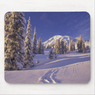 NA, VS, Washington, Mt. Rainier NP, Sneeuwschoen Muismat