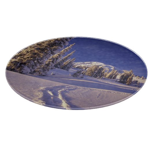NA, VS, Washington, Mt. Rainier NP, Sneeuwschoen Snijplank (Hoek)