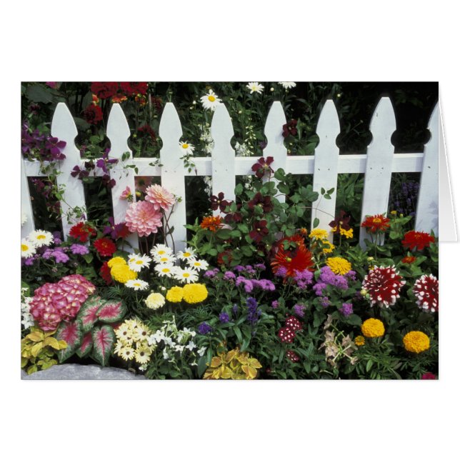 NA, VS, Washington, Sammamish, White picket (Voorkant Horizontaal)