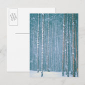 NA, VS, WY. Sneeuwse winterscène Briefkaart (Voorkant / Achterkant)