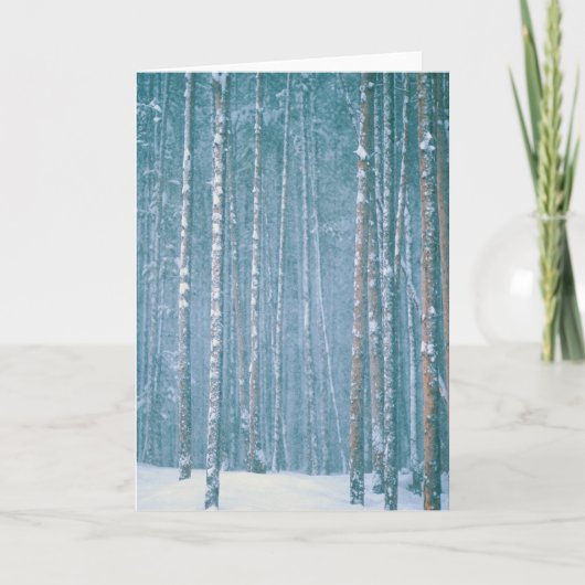 NA, VS, WY. Sneeuwse winterscène Feestdagen Kaart (Voorkant)