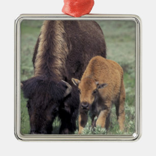 NA, VS, Wyoming, Nationaal park Yellowstone. Metalen Ornament
