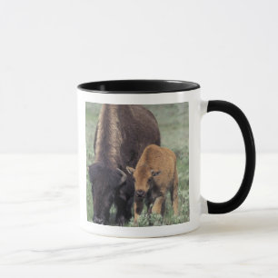 NA, VS, Wyoming, Nationaal park Yellowstone. Mok