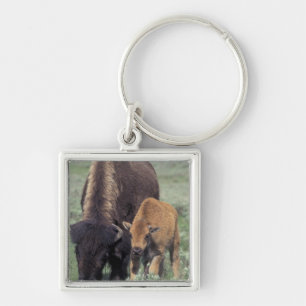 NA, VS, Wyoming, Nationaal park Yellowstone. Sleutelhanger