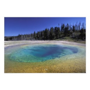 NA, VS, Wyoming, Yellowstone National Park. 2 Foto Afdruk
