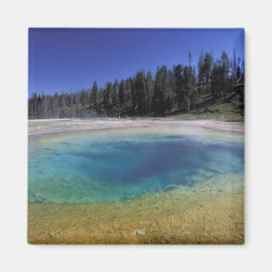 NA, VS, Wyoming, Yellowstone National Park. 2 Magneet