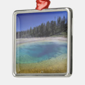 NA, VS, Wyoming, Yellowstone National Park. 2 Metalen Ornament (Links)