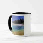 NA, VS, Wyoming, Yellowstone National Park. 2 Mok (Voorkant links)