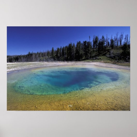NA, VS, Wyoming, Yellowstone National Park. 2 Poster (Voorkant)