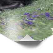 NA, VS, Wyoming, Yellowstone National Park. Foto Afdruk (Hoek)