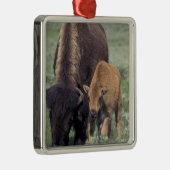 NA, VS, Wyoming, Yellowstone National Park. Metalen Ornament (Rechts)