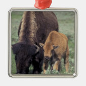 NA, VS, Wyoming, Yellowstone National Park. Metalen Ornament (Voorkant)