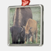 NA, VS, Wyoming, Yellowstone National Park. Metalen Ornament (Links)