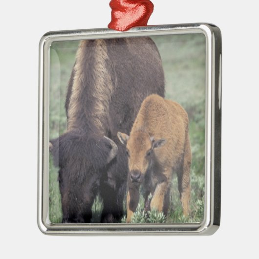 NA, VS, Wyoming, Yellowstone National Park. Metalen Ornament (Links)