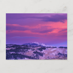 NA, VS, Wyoming, Yellowstone NP, Lamar Valley Briefkaart