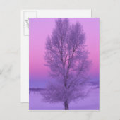 NA, VS, Wyoming, Yellowstone NP, Landschap Briefkaart (Voorkant / Achterkant)