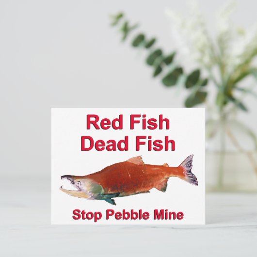 Na zalm - Stop Pebble Mine Briefkaart (Staand voorkant)