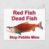 Na zalm - Stop Pebble Mine Briefkaart (Voorkant)