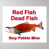 Na zalm - Stop Pebble Mine Poster (Voorkant)