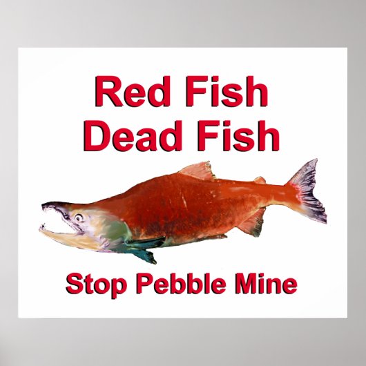 Na zalm - Stop Pebble Mine Poster (Voorkant)