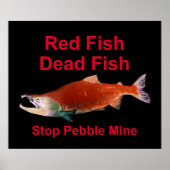 Na zalm - Stop Pebble Mine Poster (Voorkant)