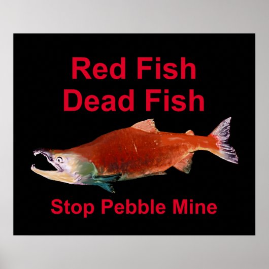 Na zalm - Stop Pebble Mine Poster (Voorkant)