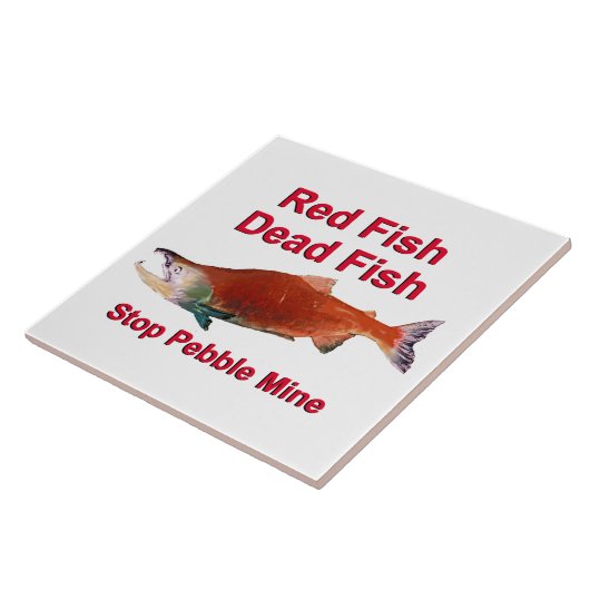 Na zalm - Stop Pebble Mine Tegeltje (Zijkant)