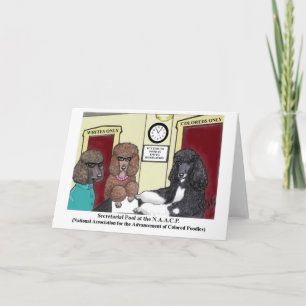 NAACP-pollenkaart Kaart
