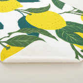 Naadloos citruspatroon.  met de hand getrokken wal sherpa deken (3/4)