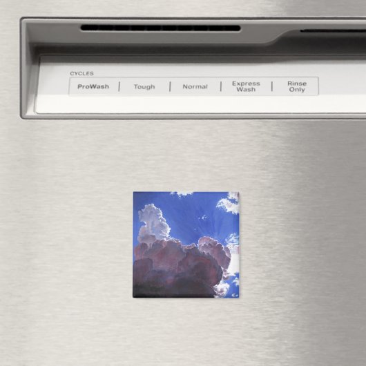 Naadloos licht 2012 magneet (Insitu (Vaatwasser))