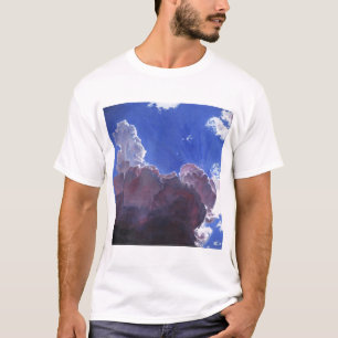 Naadloos licht 2012 t-shirt