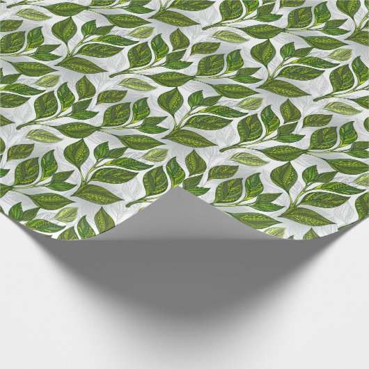 Naadloos patroon met groene theebladeren cadeaupapier (Hoek)