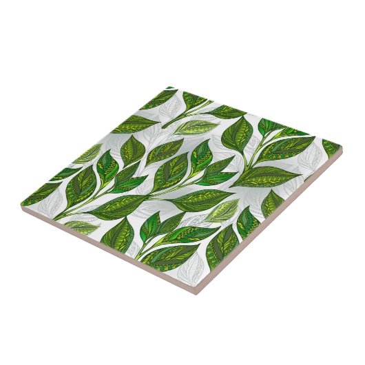 Naadloos patroon met groene theebladeren tegeltje (Zijkant)