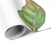 Naadloos patroon met rode appels. Realistisch vint Cadeaupapier (Rol Hoek)