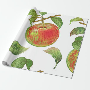 Naadloos patroon met rode appels. Realistisch vint Cadeaupapier