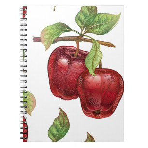 Naadloos patroon met rode appels. Realistisch vint Notitieboek