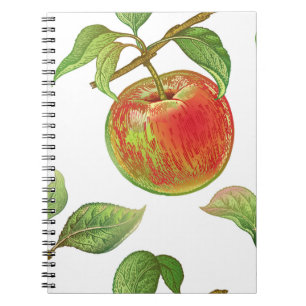 Naadloos patroon met rode appels. Realistisch vint Notitieboek