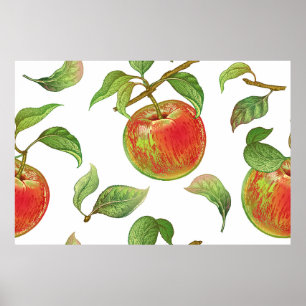 Naadloos patroon met rode appels. Realistisch vint Poster