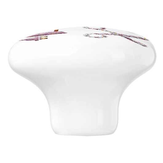 Naaimachine en Accessoires Trekker Keramische Knop (Zijkant)