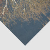 naakte donkere skies originele foto - omver tissuepapier (Detail)