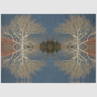 naakte donkere skies originele foto - omver tissuepapier