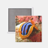 naaktmagneet - 2 magneet (Voorkant / Achterkant)