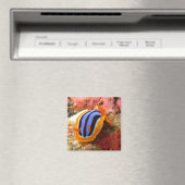 naaktmagneet - 2 magneet (Insitu (Vaatwasser))