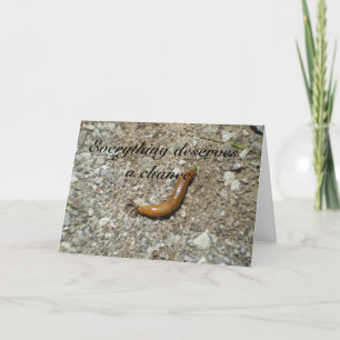 Naaktslak-verdient een Kans Kaart