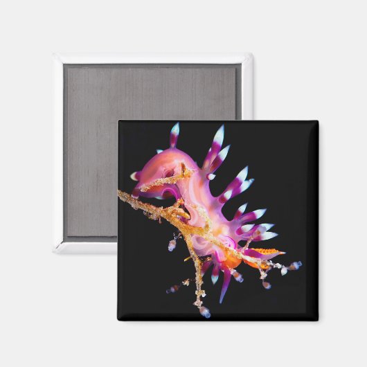 naaktslak vierkante magneet (Voorkant / Achterkant)