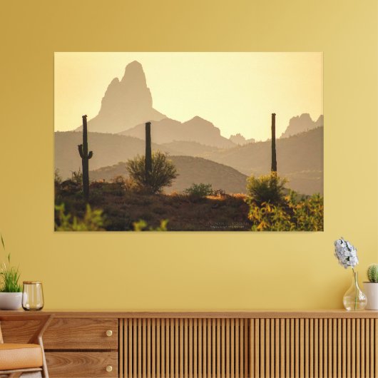 Naald Arizona USA 60x40 van de woestijnberg van We Canvas Afdruk (Insitu (Woonkamer))