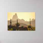 Naald Arizona USA 60x40 van de woestijnberg van We Canvas Afdruk (Voorkant)