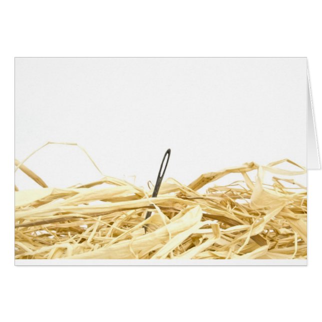 naald in een hooiberg (Voorkant Horizontaal)