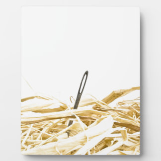 naald in een hooiberg fotoplaat